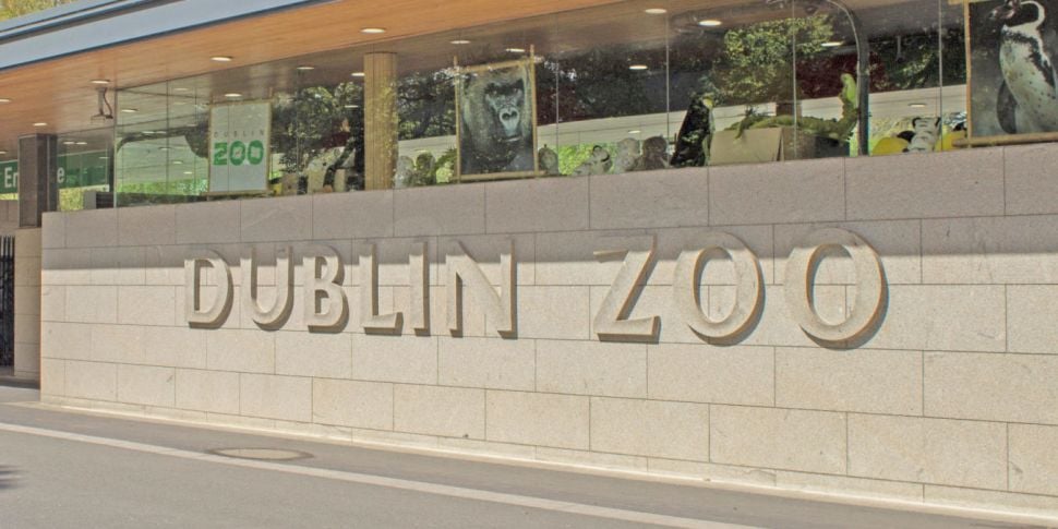 Dublin Zoo rejects claims it i...