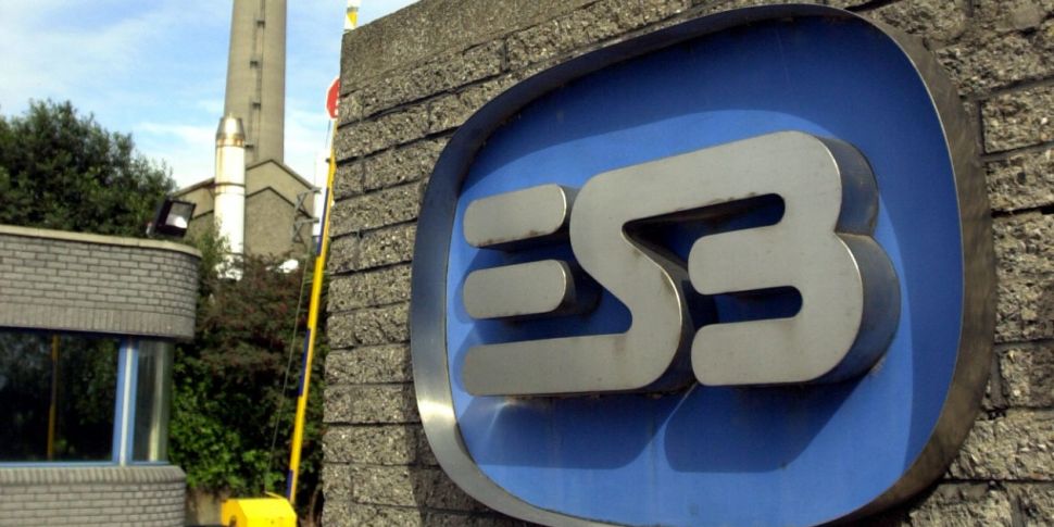 ESB 'simply can't' use profits...
