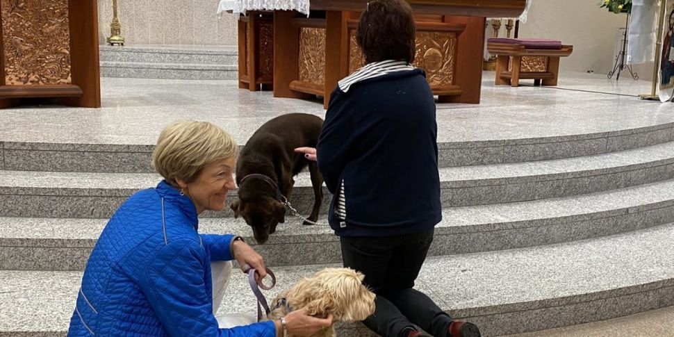 Dublin church offers dog bless...