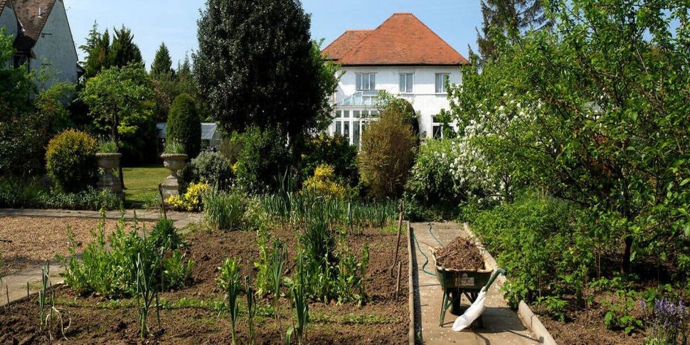 Why we need smaller gardens to...