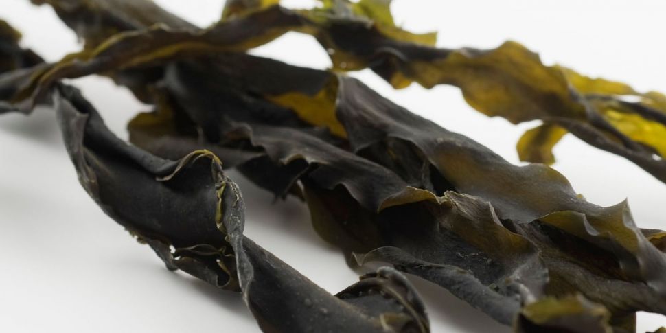 The benefits of eating seaweed