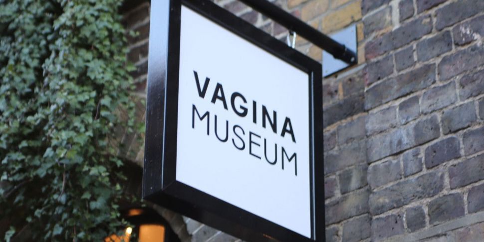 The Vagina Museum