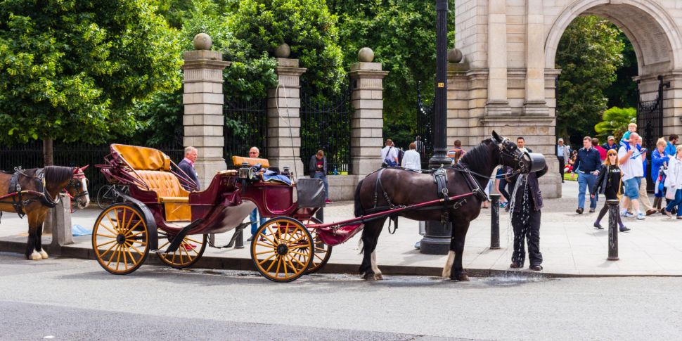 Horse carriage drivers 'need t...