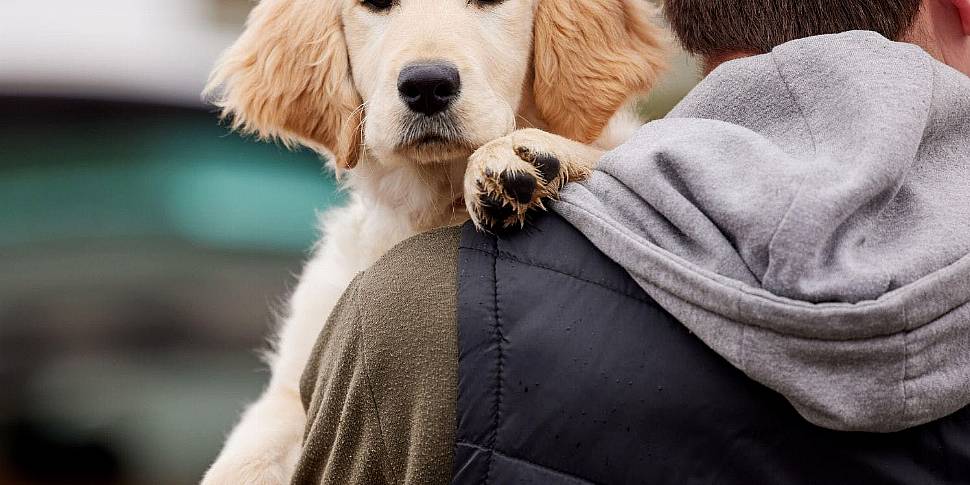 Woman had dog stolen and 'smug...