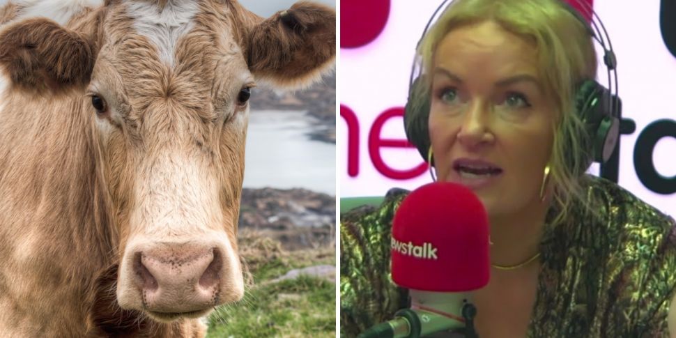 ‘Leave those cows alone’ – Nat...