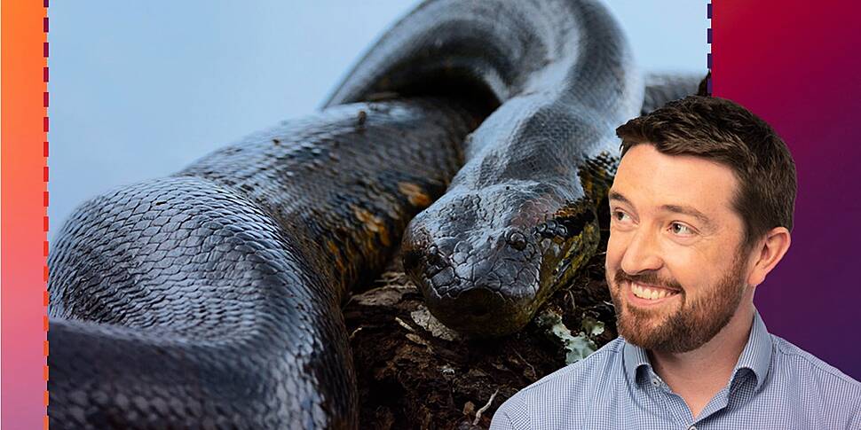 44. Animals You Should Be Glad...