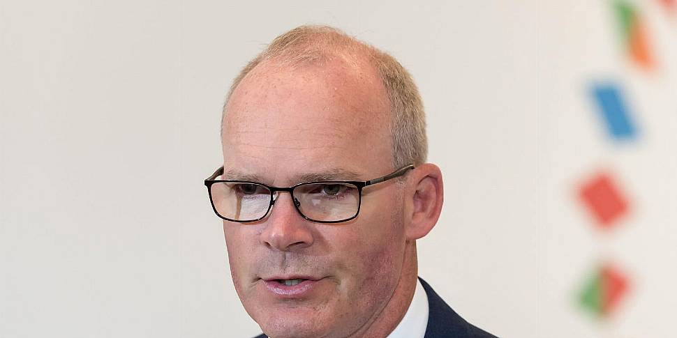 Coveney: VAT increase for hosp...