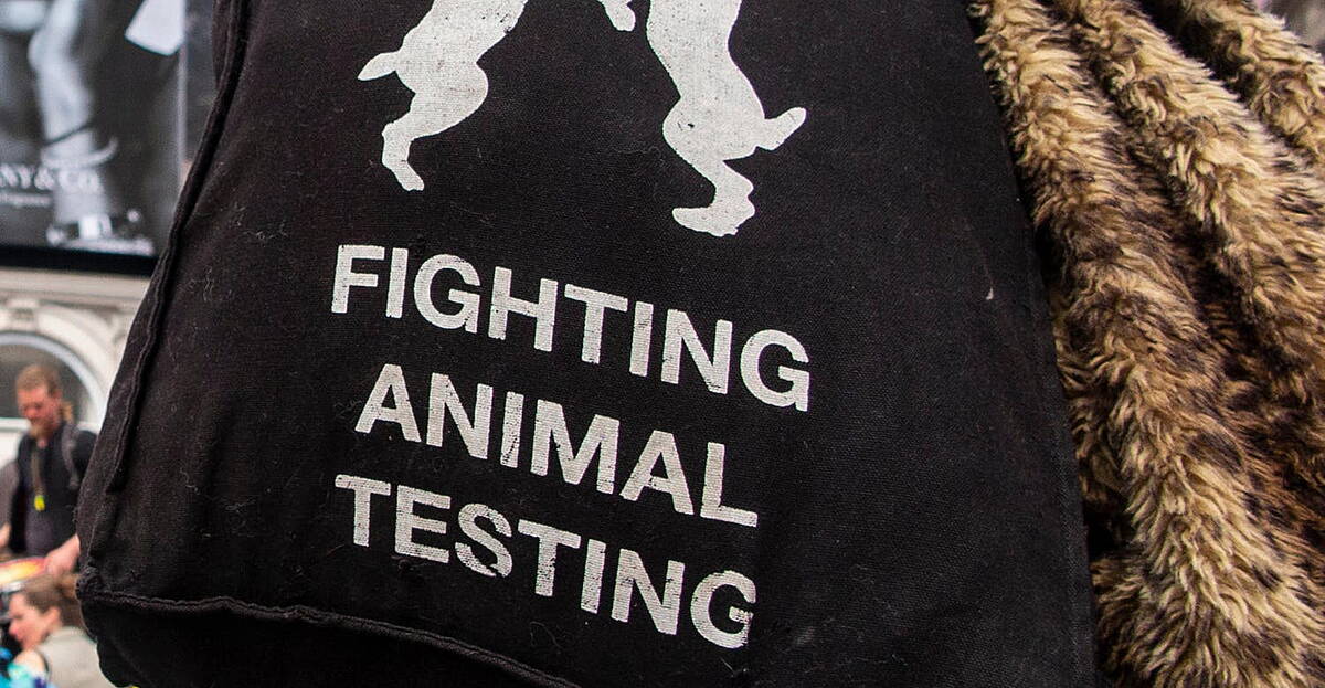 Common Ground: Is animal testing ever ok? | Newstalk