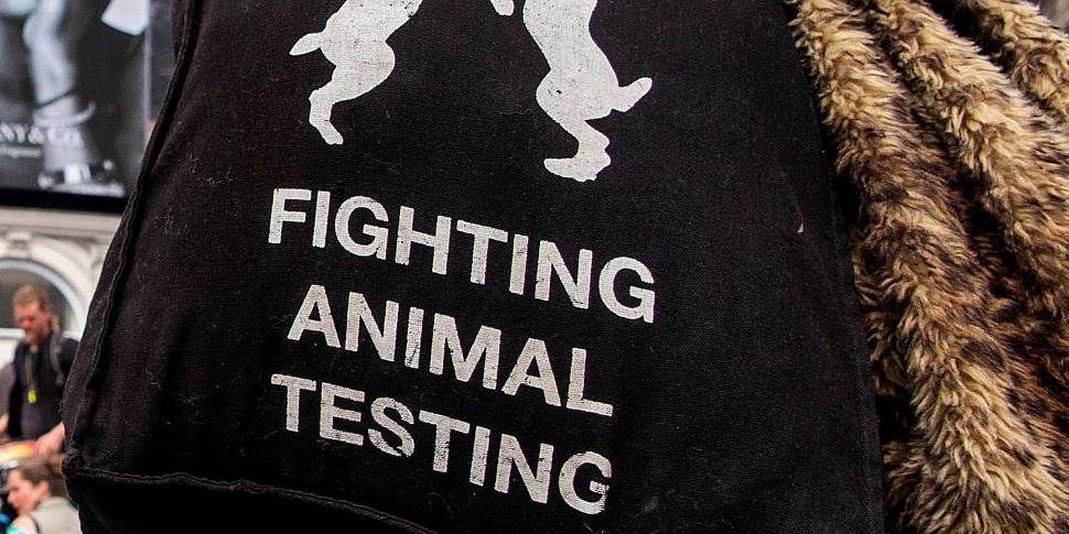 Common Ground: Is animal testi...