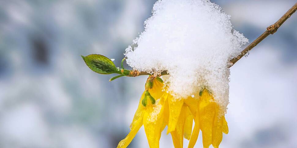 A status yellow snow and ice w...