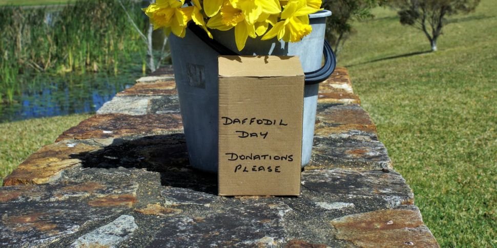 Today is Daffodil Day
