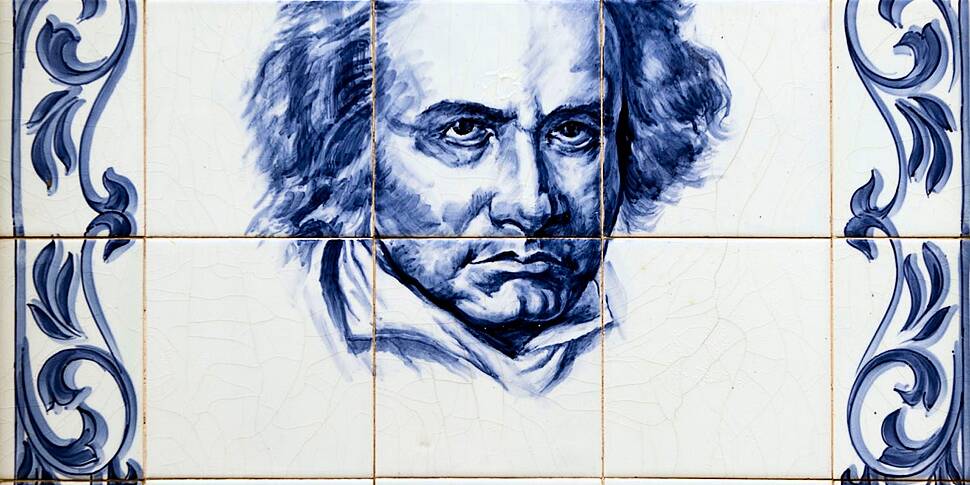 We study the  DNA of Beethoven