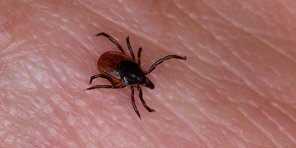 Be Tick Aware: Preventing Tick...