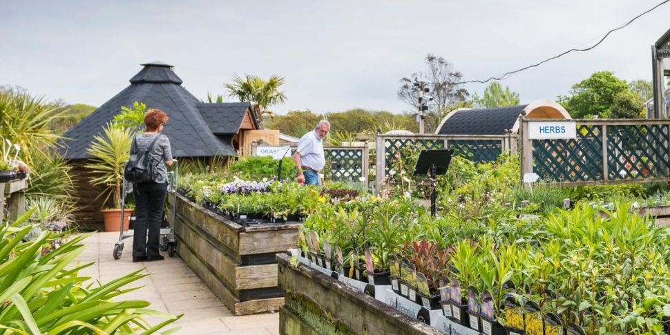 Industry Review: Garden Centre...
