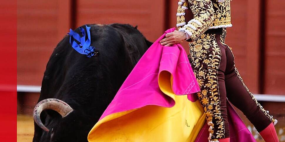 Bullfighting takes fresh promi...