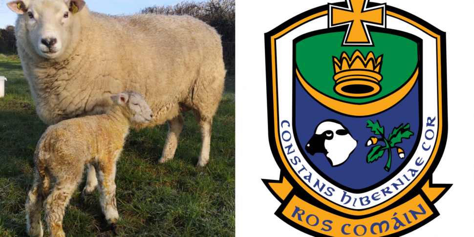 Roscommon GAA county crest has...