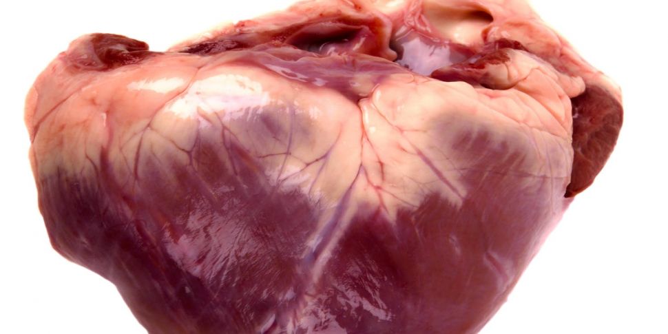 Could Pig Heart Modification f...