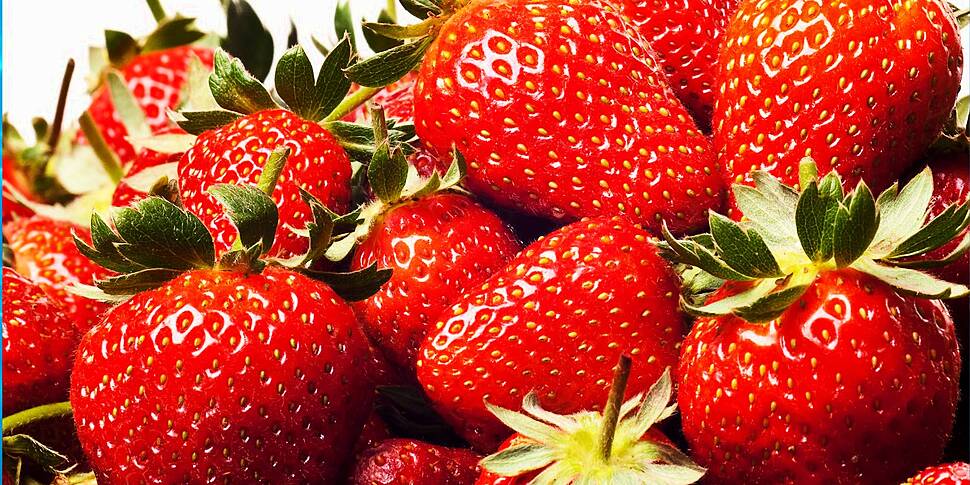 Gardening: Strawberries - prop...