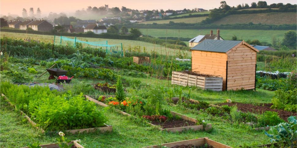 Finding the Perfect Allotment