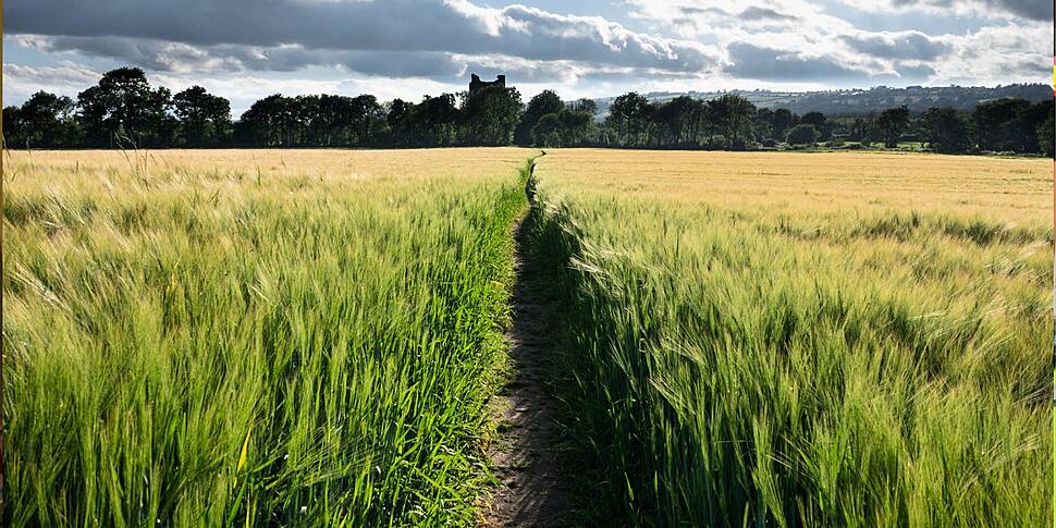 Farmers and climate change