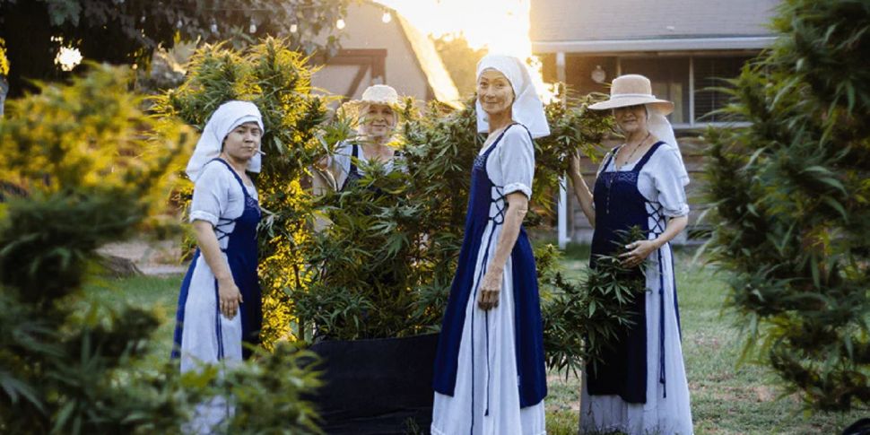 Meet the 'Weed Nuns' putting t...