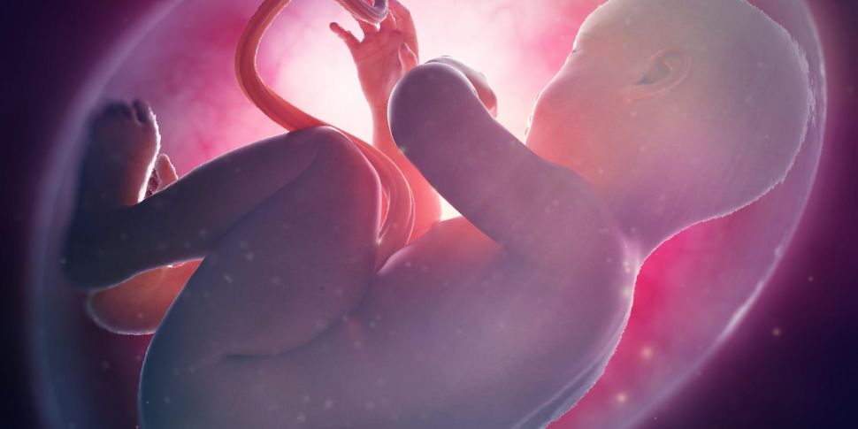 Womb transplants and the futur...