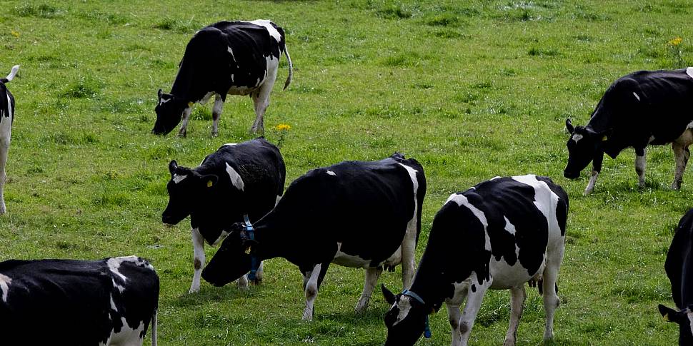 Farmers protest: 'We're being...