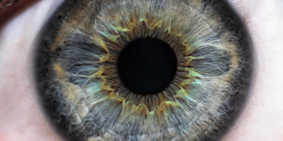 What our eyes can tell us abou...