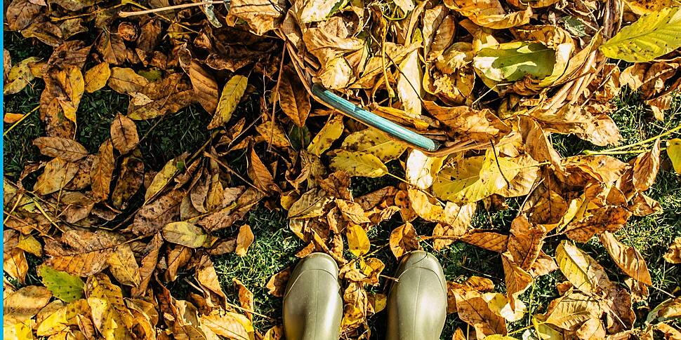 Autumn gardening with Paraic H...