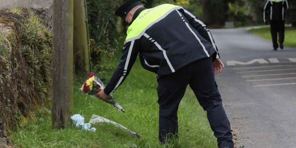 National Slow Down Day: Gardaí...