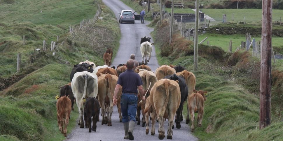 Irish farmers 'going slowly br...