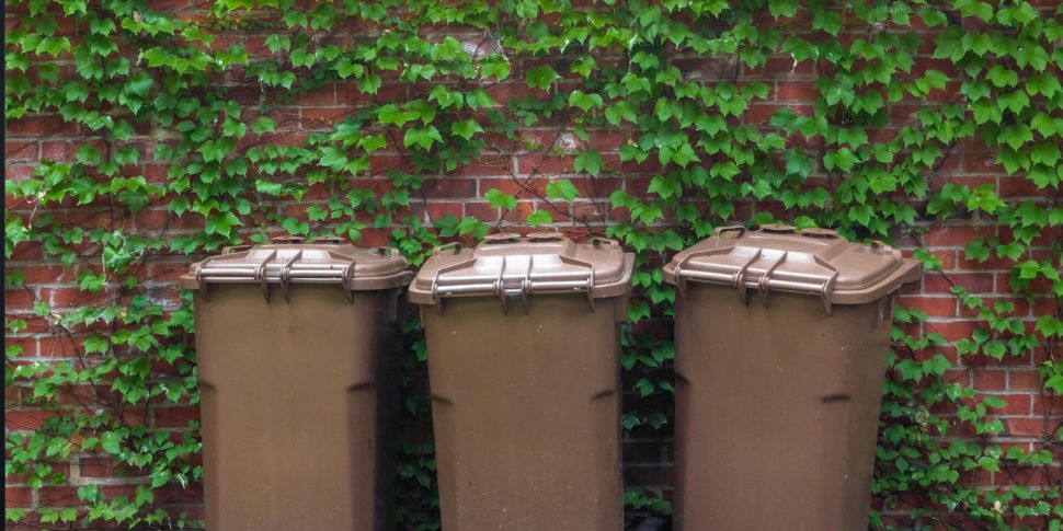 Do you use your bins correctly...