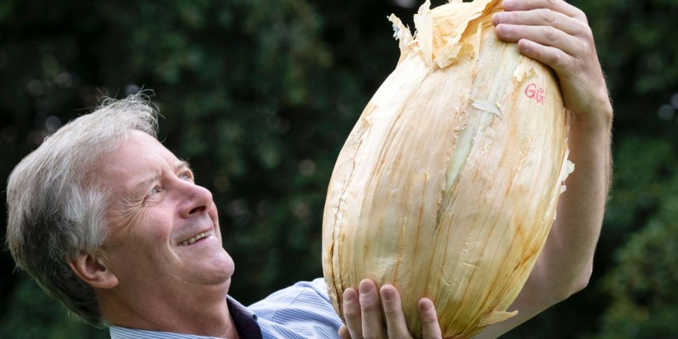 The World's Heaviest Onion