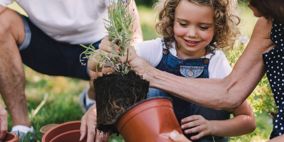 Gardening with Paraic Horkan