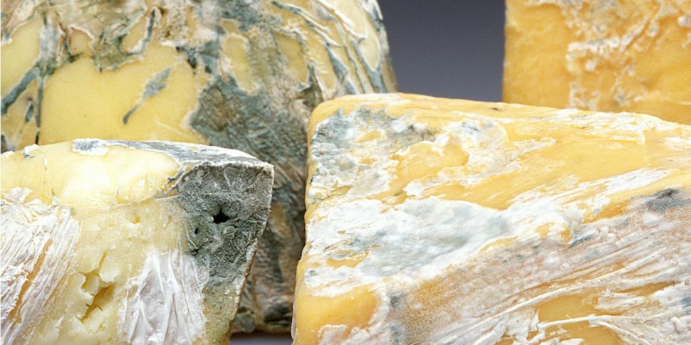 Is it ok to eat mouldy cheese?