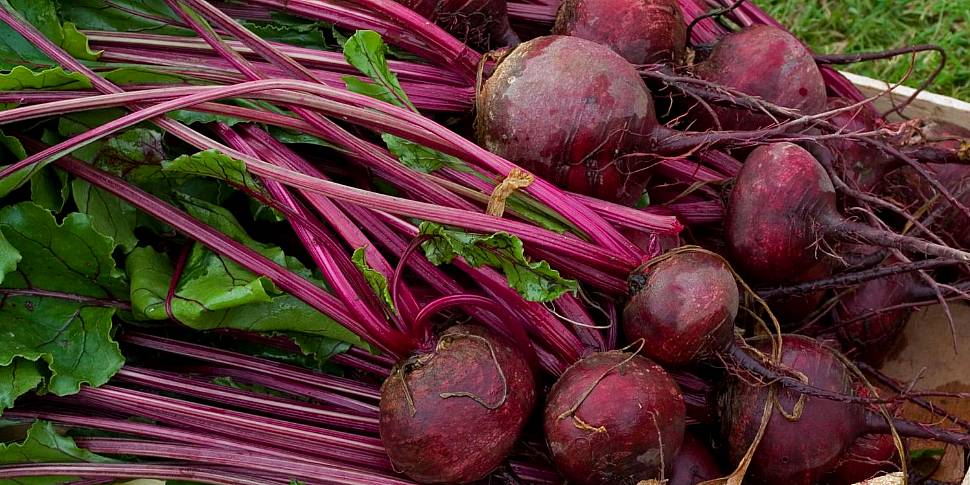 You Are What You Eat: Beetroot