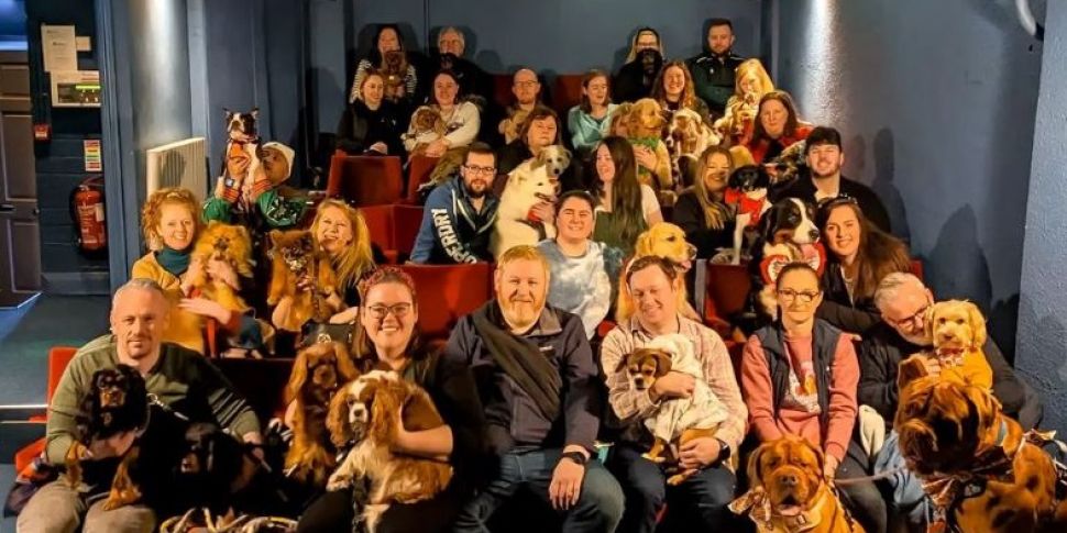 Dublin dog cinema sees pampere...