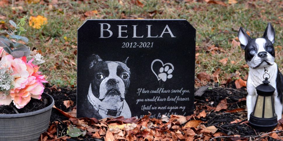 Pet grief: 'It's never just a...