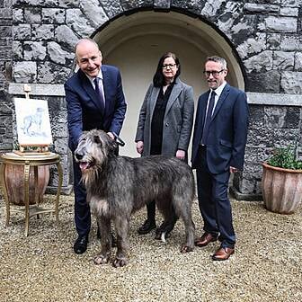 Four New Special Schools Will Open In 2024 Newstalk   Irish Passport Redesign Champions Irish Wolfhound What Other Animals Could Feature 