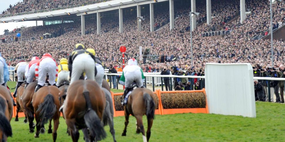 Cheltenham to use ‘wee-repelle...