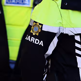 Ex Garda Shane Flanagan senten...