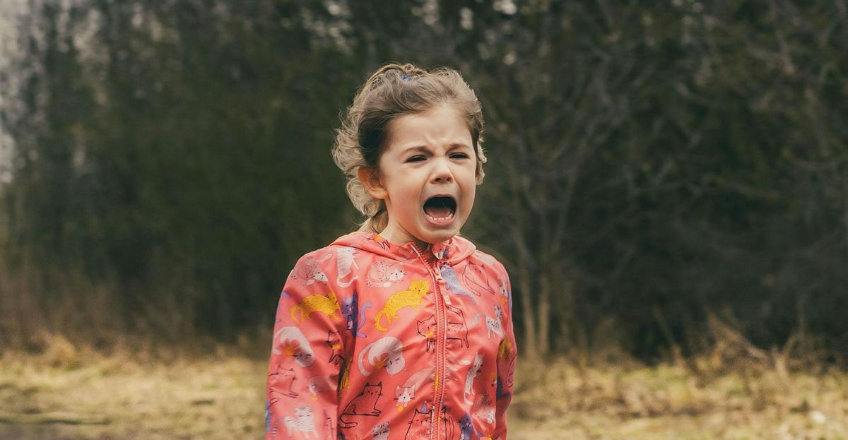 Parenting My 3 yearold throws a tantrum without my phone Newstalk