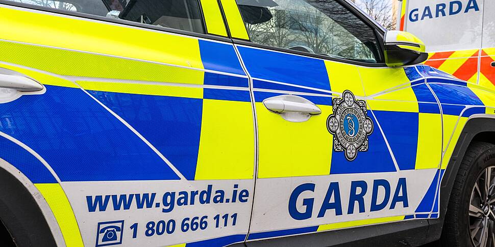 Man dies after Limerick hit an...