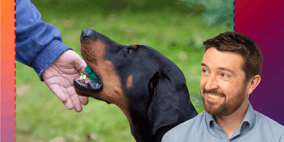 118: Responsible Dog Ownership