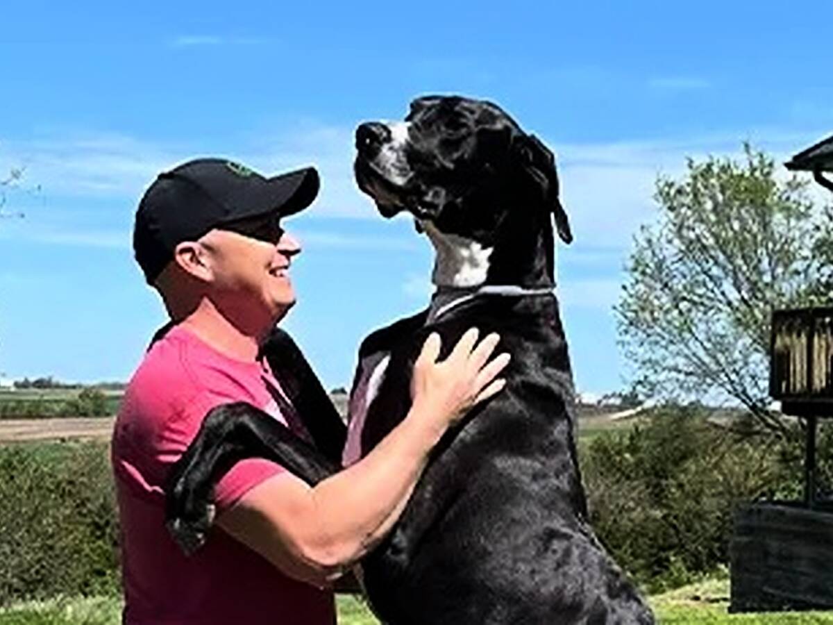 Tallest dog gate hotsell