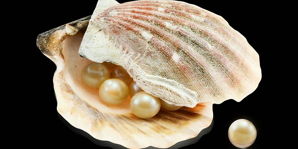 Rare pearl found in Irish oyst...