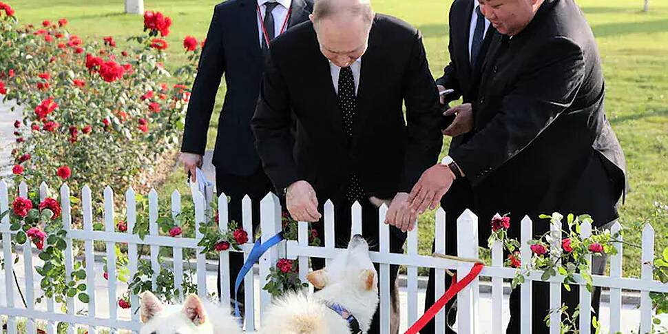 The history of dictators’ pets | Newstalk