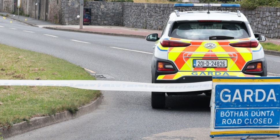 Dublin road death: Elderly wom...