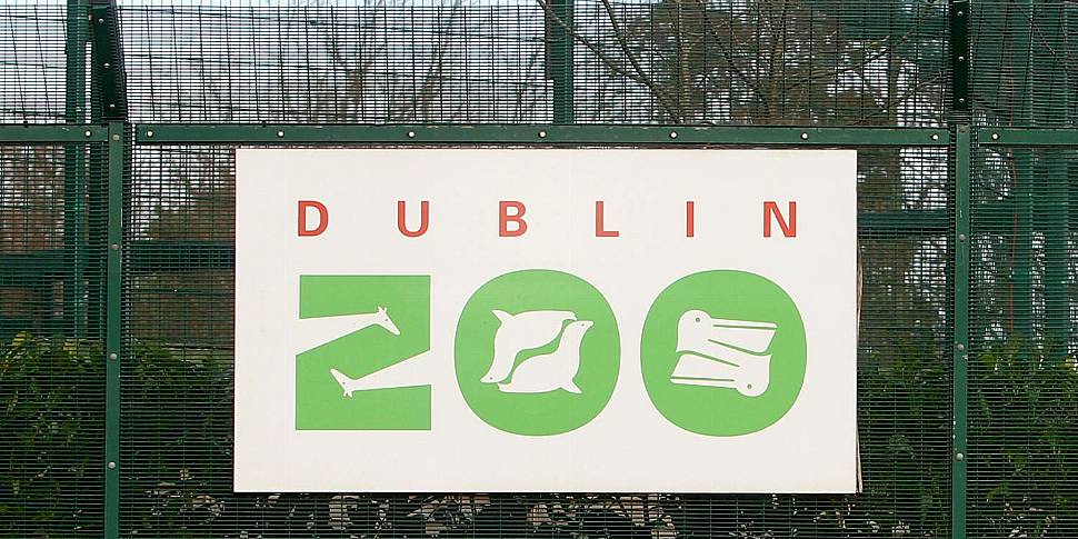 Should Dublin Zoo close its do...