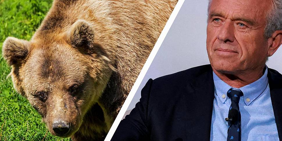 RFK Jr dumped a dead bear in C...